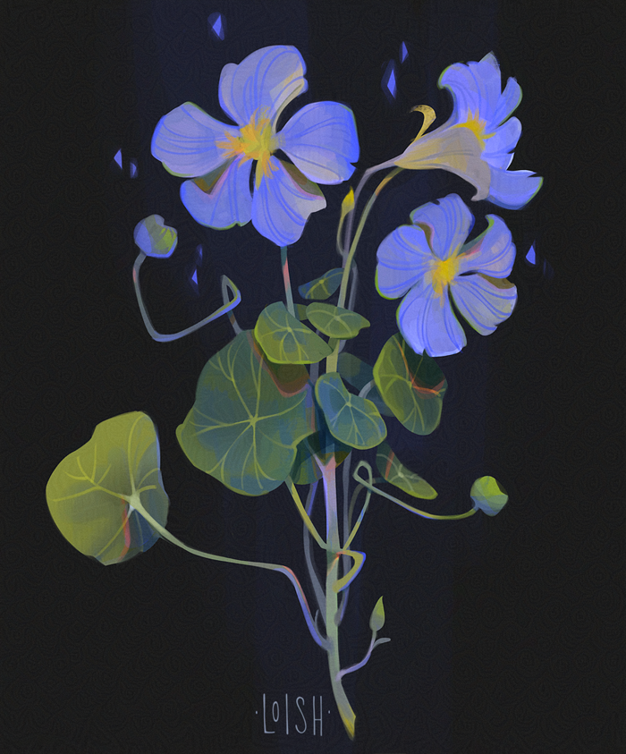 Bloom